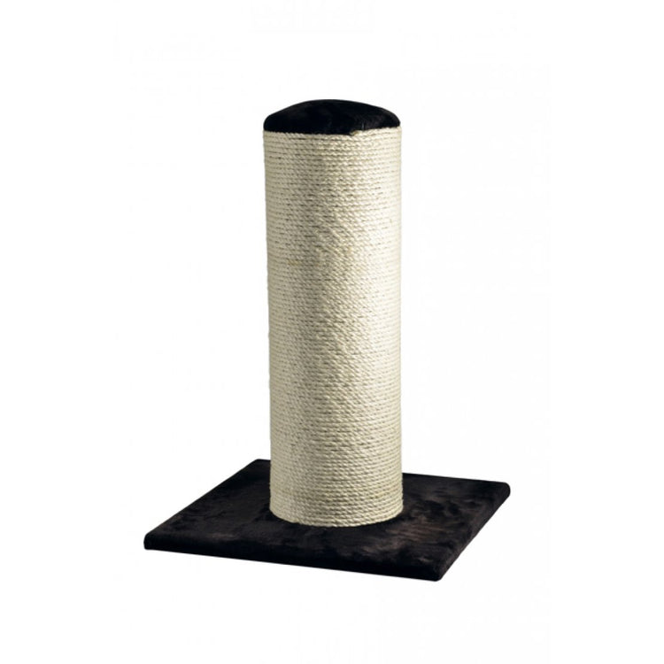 Cat Scratching Posts