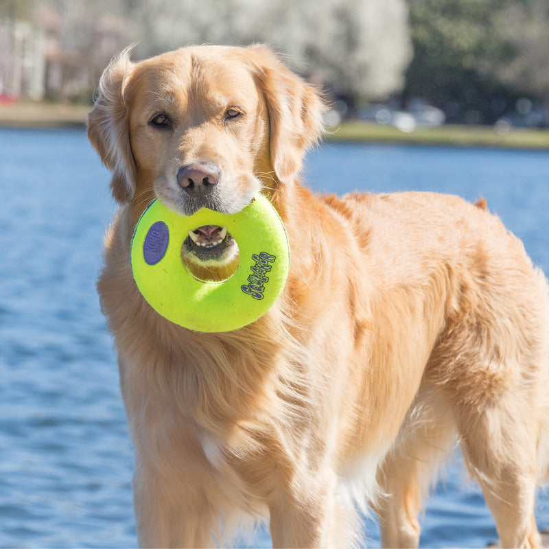 KONG AirDog Donut