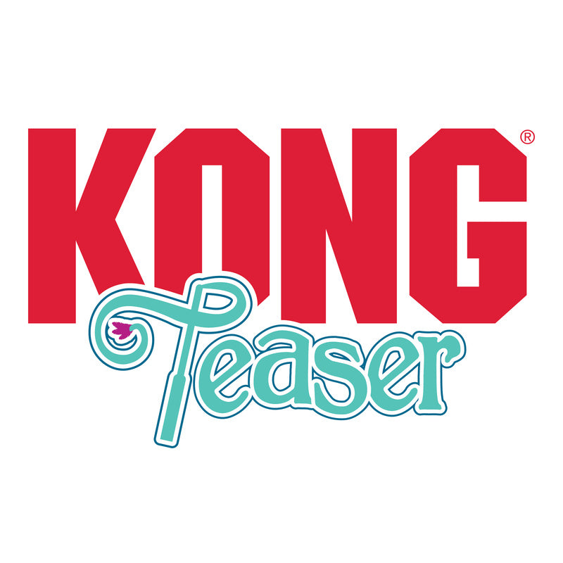 KONG Teaser Swizzle Bird