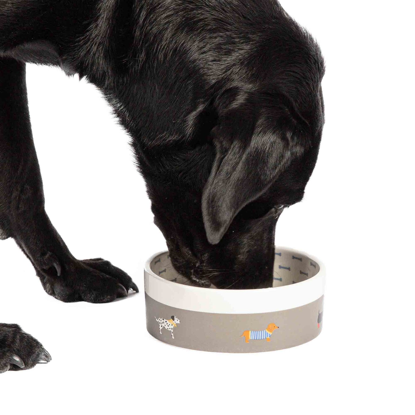 FatFace Marching Dogs Dog Bowl