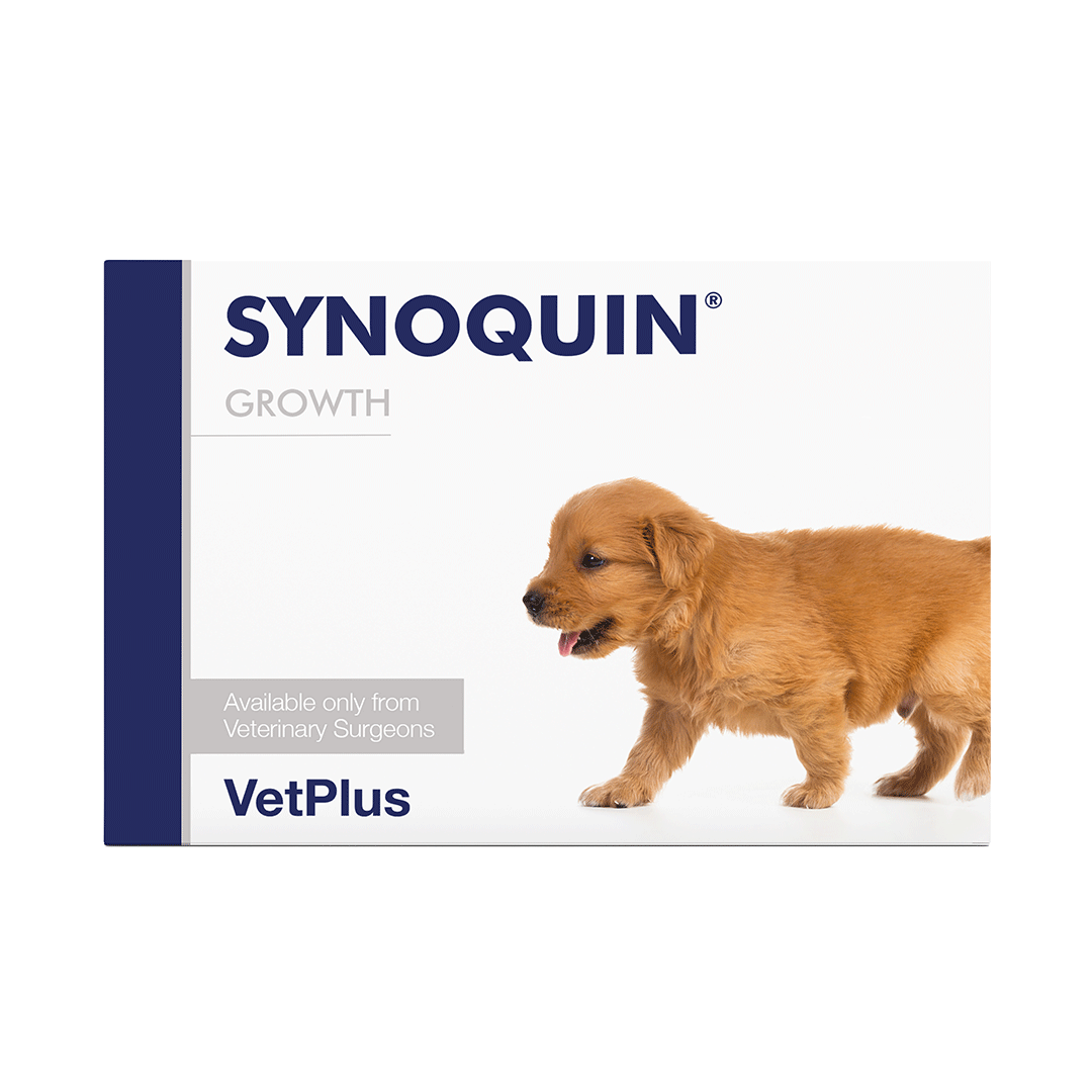 Synoquin Growth EFA Joint Supplement for Growing Puppies (60 capsules)