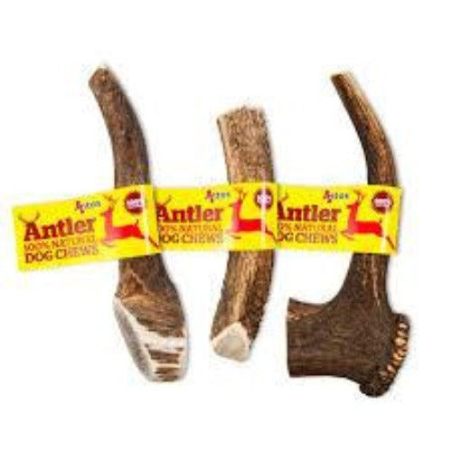 Antos Antler Natural Dog Chew - Pica's Pets