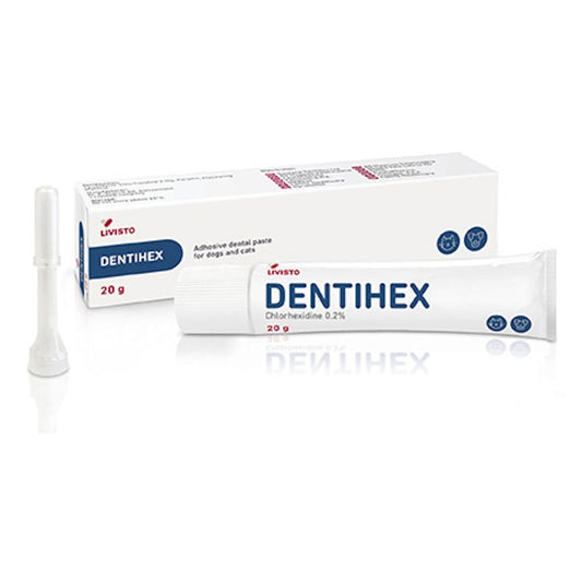 Dentisept Adhesive Dental Paste for Cats & Dogs