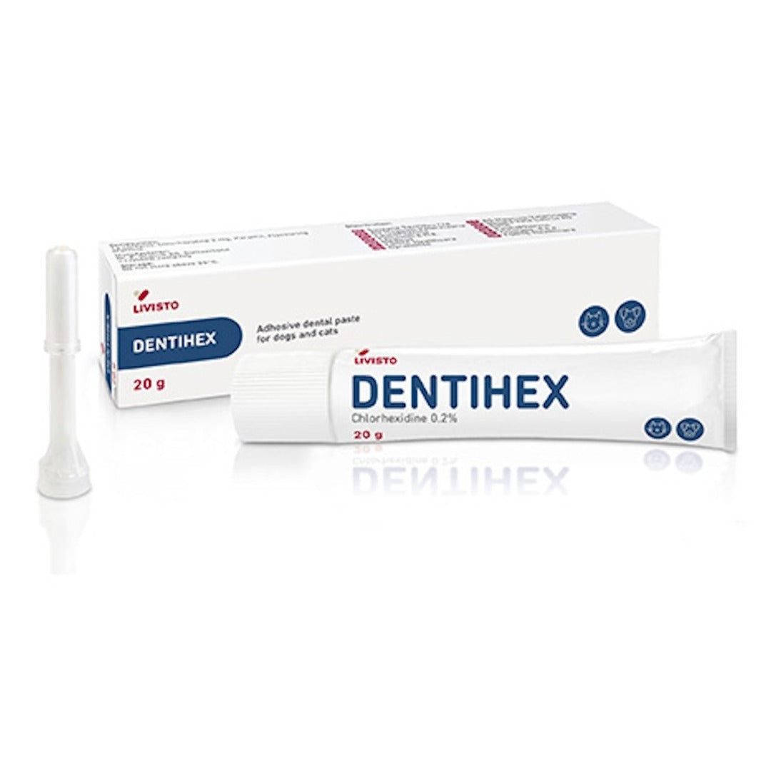 Dentisept Adhesive Dental Paste for Cats & Dogs