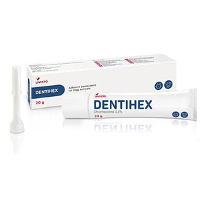 Dentisept Adhesive Dental Paste for Cats & Dogs