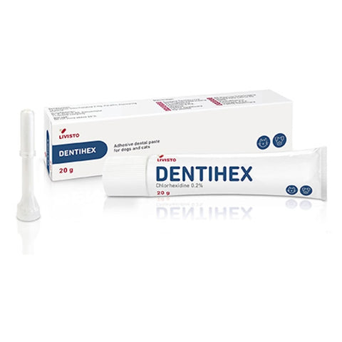 Dentisept Adhesive Dental Paste for Cats & Dogs