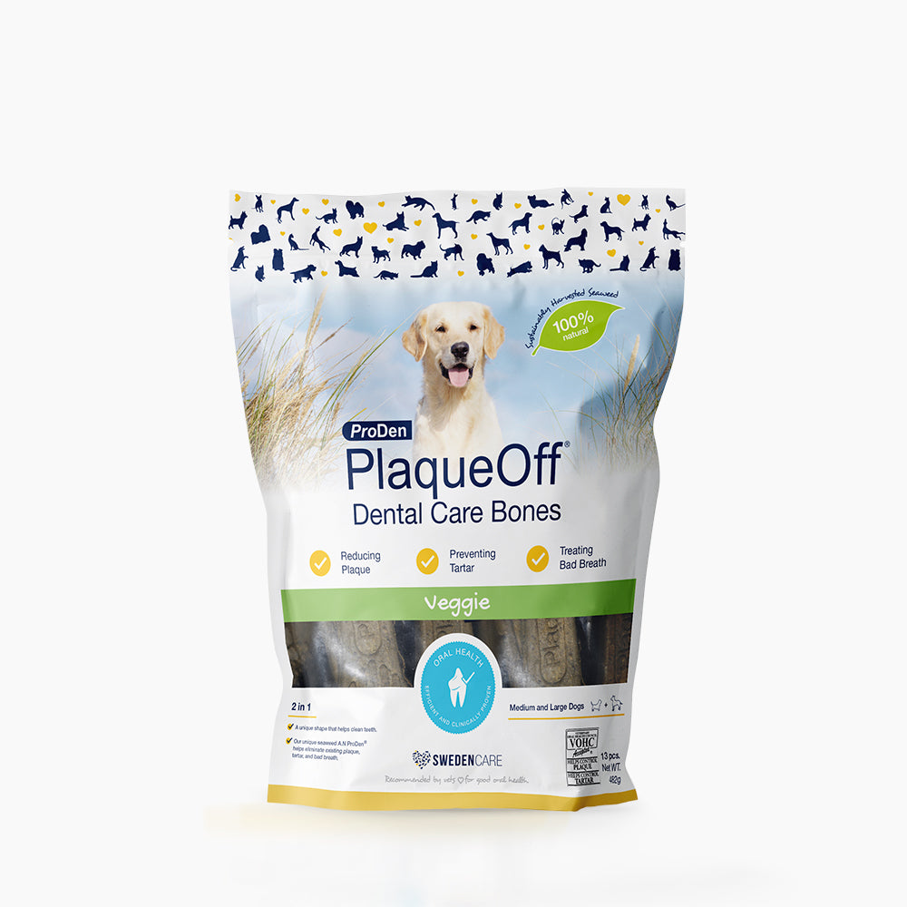 Plaque Off Dental Care Bones 482g