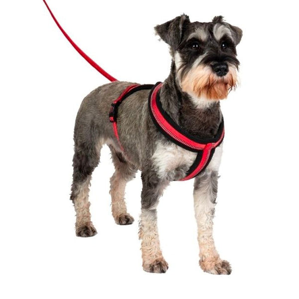 Halti Comfy Dog Harness