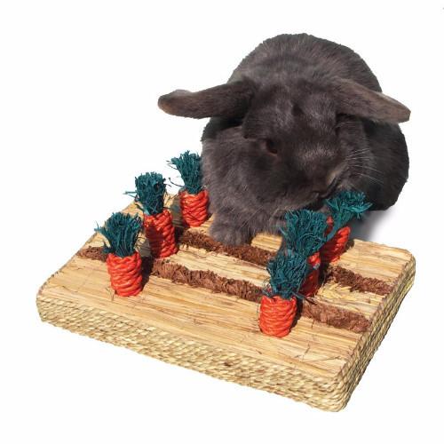 Rosewood  Boredom Breaker Carrot Patch Small Animal Toy
