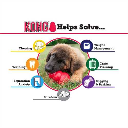 KONG Puppy Dog Toy