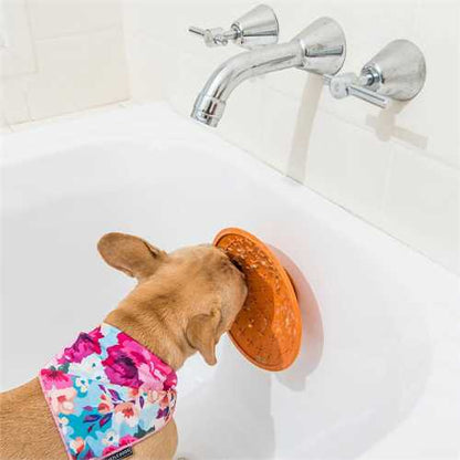 LickiMat Splash Treat Mat