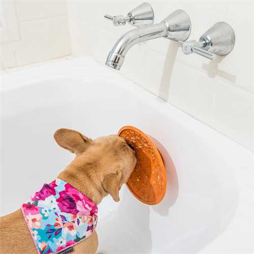 LickiMat Splash Treat Mat