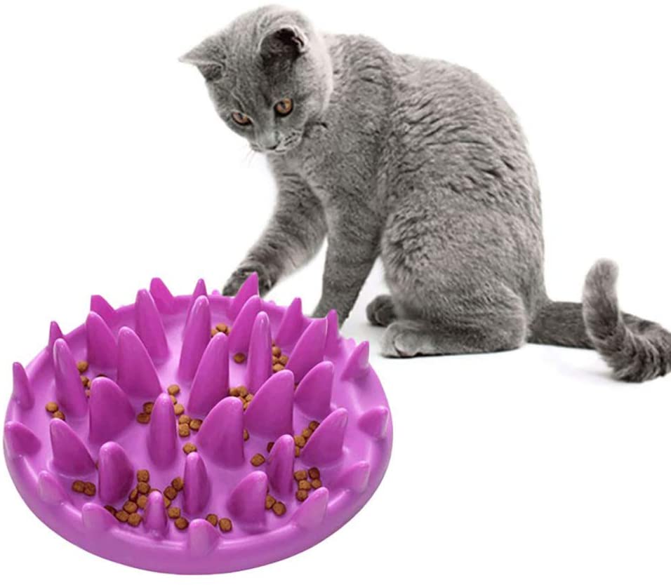 Catch Interactive Cat Slow Feeder Bowl