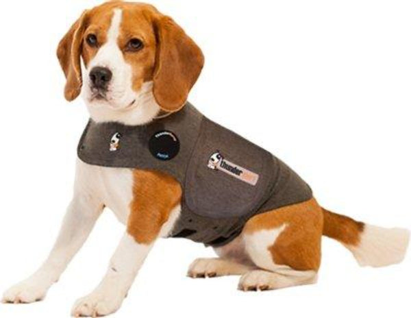 ThunderShirt For Dogs