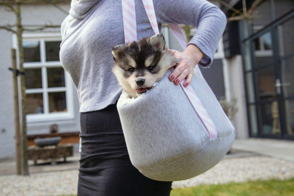 Beeztees Puppy Carrying Bag - Pica's Pets