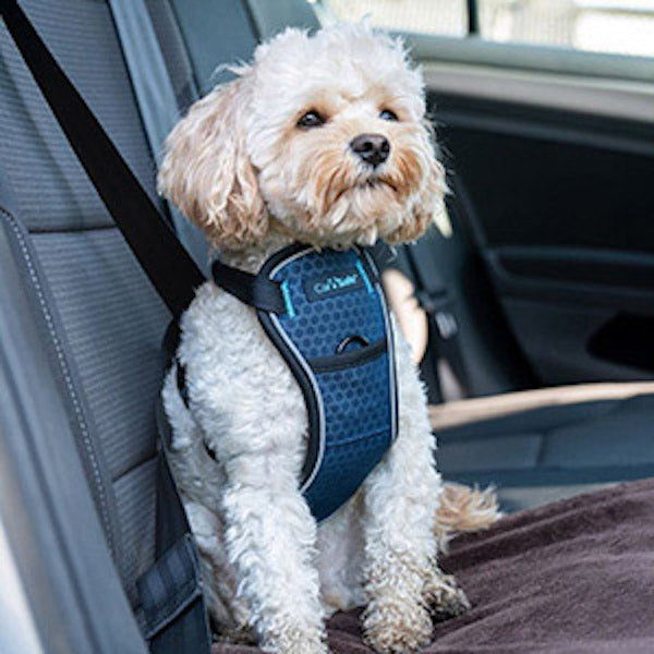 company of Animals CarSafe Crash-Tested Dog Harness