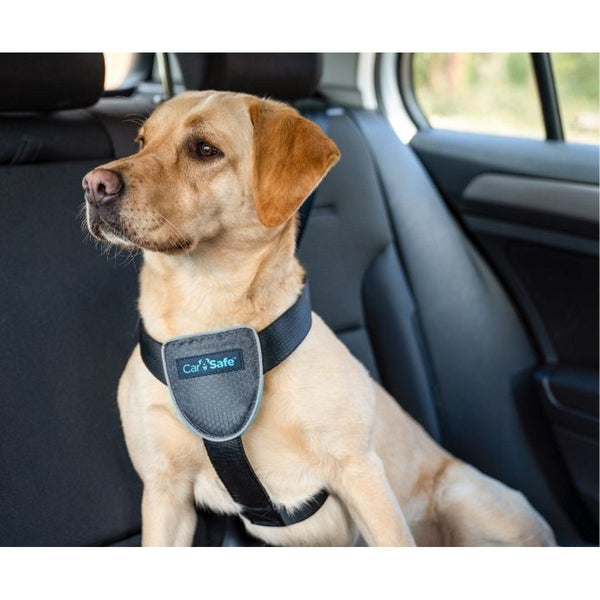 Company of Animals CarSafe Dog Travel Harness