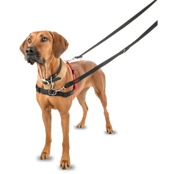 Halti Front Control Dog Harness