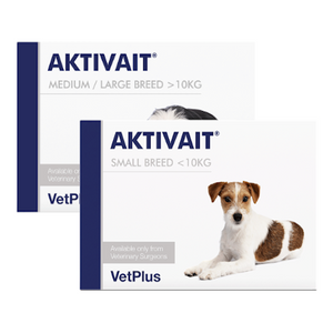 Aktivait for Small Breed Dogs