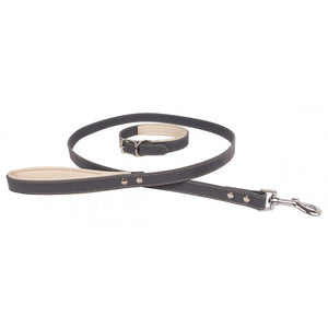 Banbury & Co Luxury Dog Collar & Lead Set - Pica's Pets