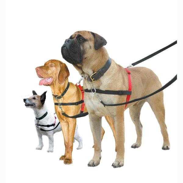 Halti Front Control Dog Harness