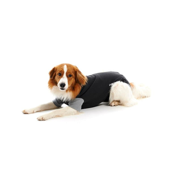 Buster Easygo Body Suit for Dogs