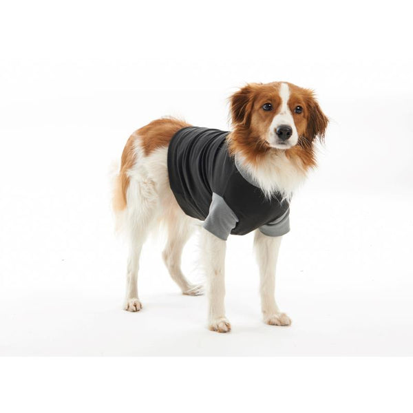 Buster Easygo Body Suit for Dogs