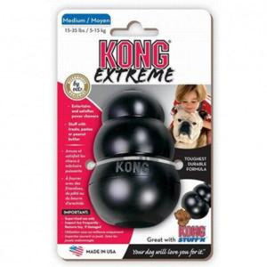 KONG Extreme Dog Toy - Pica's Pets
