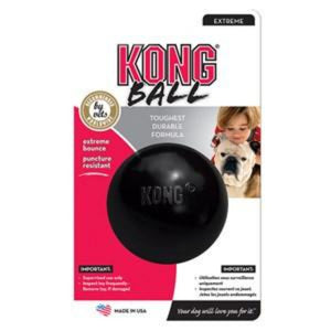 Kong Extreme Ball Dog Toy - Pica's Pets