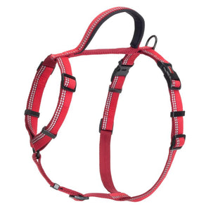 Halti Walking Adjustable Dog harness