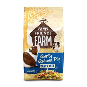 Tiny Friends Farm Gerty Guinea Pig 850g - Pica's Pets