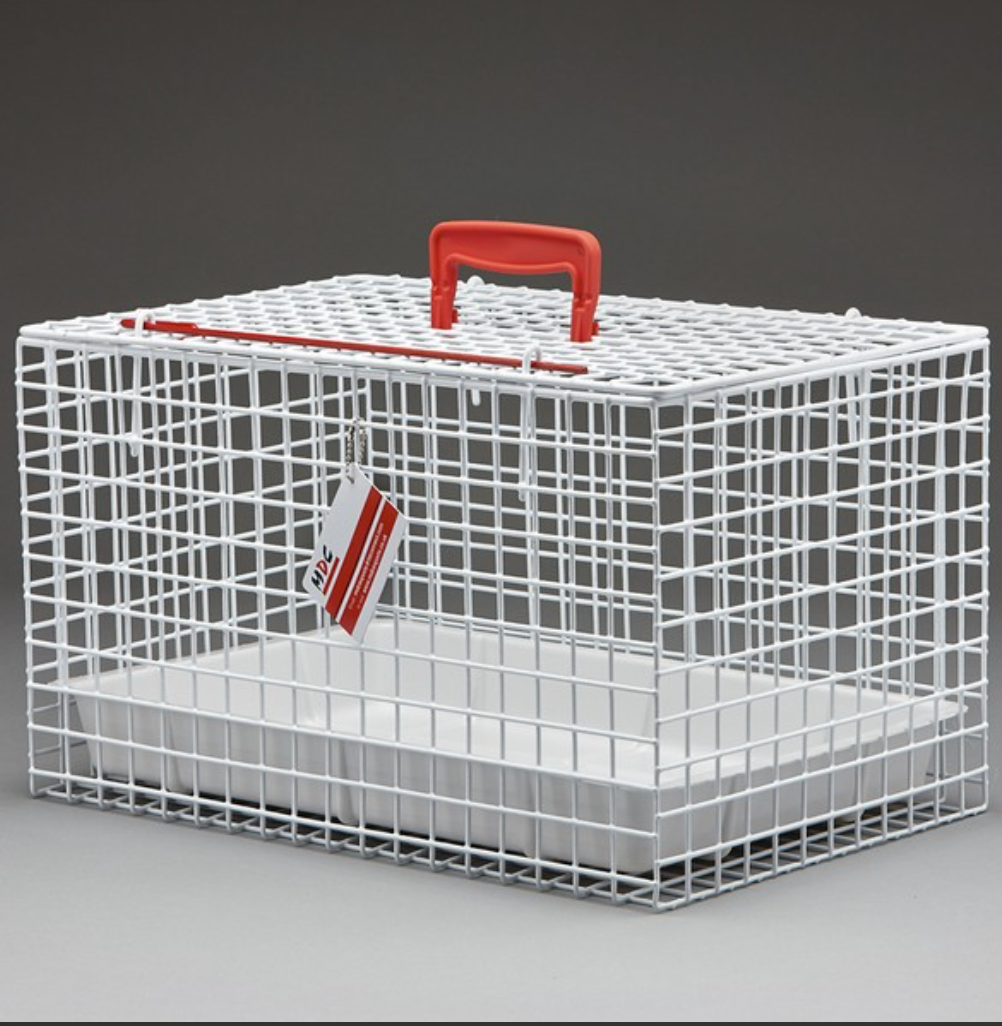 Wire Cat Basket With Tray