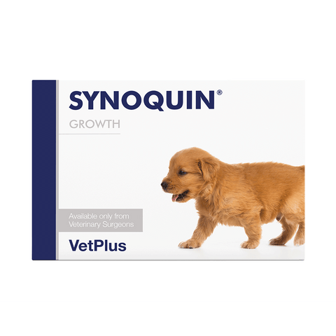 Synoquin Growth EFA Joint Supplement for Growing Puppies (60 capsules)