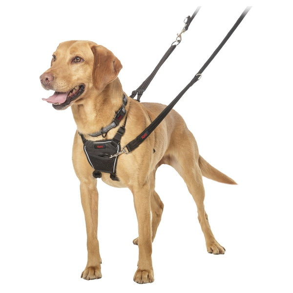 Halti No Pull Dog Harness