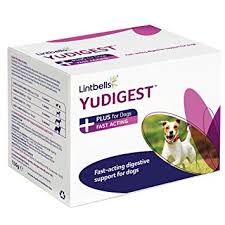 Yudigest Plus Digestive Support for Dogs - Pica's Pets