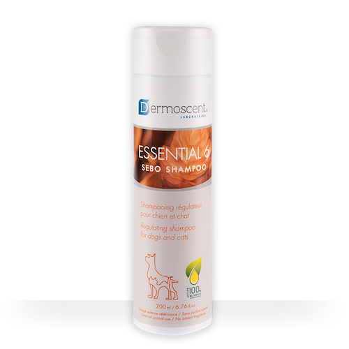 Dermoscent Essential 6 Sebo Shampoo 200ml Dogs & Cats