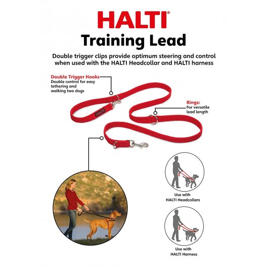 Halti Training Dog Lead - Pica's Pets