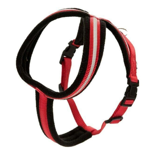 Halti Comfy Dog Harness