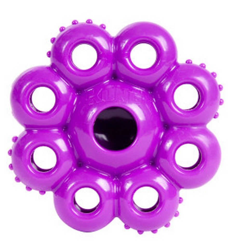 Kong Quest Star Pods Picas Pets
