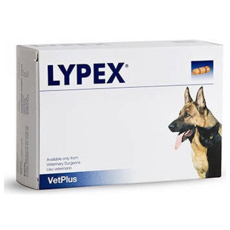 Lypex Capsules - Pica's Pets