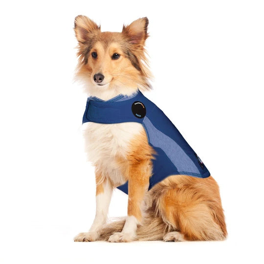 ThunderShirt For Dogs