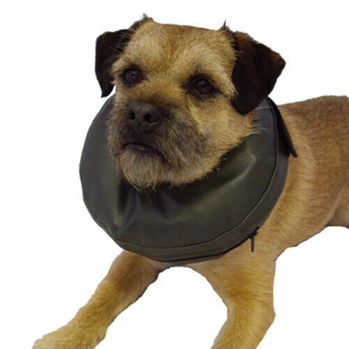 Thrive Inflatable Comfy Buster Dog Collar